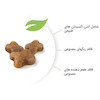 غذای خشک رویال کنین