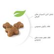 غذای خشک رویال کنین