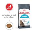 غذای خشک گربه رویال کنین 