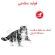 غذای خشک گربه رویال کنین یورینری کر