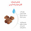 غذای خشک گربه رویال کنین مادر و بچه 