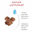 غذای خشک گربه رویال کنین مادر و بچه 