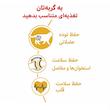 رویال کنین بریتیش شورت هیر