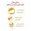رویال کنین پرشین بالغ