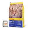 غذای خشک گربه جوسرا دیلی کت | Josera DailyCat بدون غلات برای گربه‌های حساس - بسته بندی میوتن
