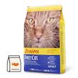 غذای خشک گربه جوسرا دیلی کت | Josera DailyCat بدون غلات برای گربه‌های حساس - بسته بندی میوتن