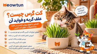 کت گرس چیه؟ انواع، خواص و تفاوتش با کت‌نیپ