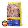 غذای خشک گربه جوسرا دیلی کت | Josera DailyCat بدون غلات برای گربه‌های حساس - بسته ۱۰ کیلویی