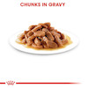 پوچ بچه گربه رویال کنین کیتن در سس مدل Royal Canin Kitten In Gravy  وزن ۸۵ گرم