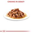 پوچ بچه گربه رویال کنین کیتن در سس مدل Royal Canin Kitten In Gravy  وزن ۸۵ گرم