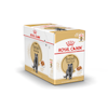 پوچ گربه رویال کنین مدل بریتیش شورت هیر (مو کوتاه) 85 گرمی ROYAL CANIN BRITISH SHORTHAIR GARVY 85 G
