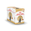پوچ گربه رویال کنین مدل بریتیش شورت هیر (مو کوتاه) 85 گرمی ROYAL CANIN BRITISH SHORTHAIR GARVY 85 G