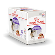 پوچ گربه عقیم شده رویال کنین Royal Canin Sterilised In Gravy Wet Food Pouch 85g وزن 85 گرم