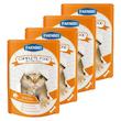 پوچ گربه فنبی سالمون، گوشت و روغن ماهی Faenbei Cat Salmon Beef & Fish Oil Pouch 85g