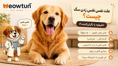 علت نفس نفس زدن سگ چیست؟ (طبیعیه یا نگران‌کننده؟)