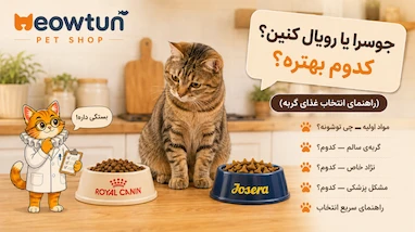 جوسرا یا رویال کنین؟ راهنمای انتخاب غذای خشک گربه