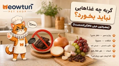 گربه چه غذاهایی نباید بخورد؟ (بعضیاشون خیلی غافلگیرکننده‌ست!)