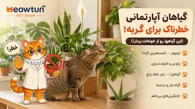 گیاهان آپارتمانی خطرناک برای گربه — این گیاه‌ها رو از خونه‌ات دور کن!