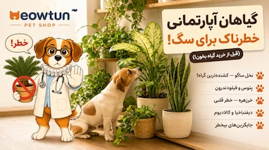 گیاهان آپارتمانی خطرناک برای سگ — قبل از خرید گیاه بخون!