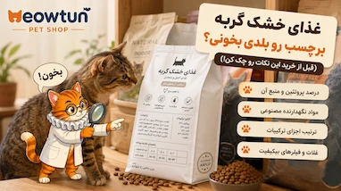 بهترین غذای خشک گربه ایرانی رو چطور انتخاب کنیم؟ (راهنمای خواندن برچسب)