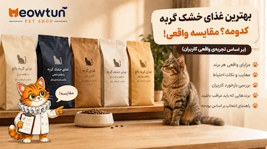 بهترین غذای خشک گربه ایرانی کدومه؟ (مقایسه ی واقعی + تجربه‌ی کاربران)