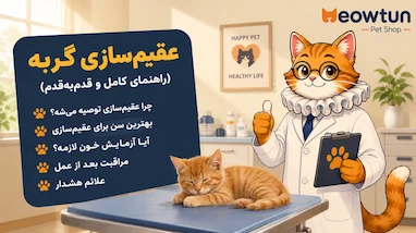 عقیم‌سازی گربه؛ همه چیزی که قبل از تصمیم باید بدونی