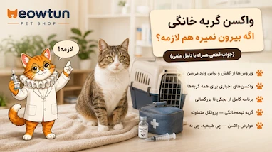 واکسن گربه خانگی؛ اگه بیرون نمیره هم لازمه؟