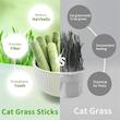 Cat Grass Freeze Dried