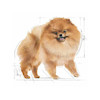 پوچ سگ پامرانین بالغ رویال کنین 85 گرم Royal Canin Pomeranian Adult
