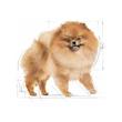 پوچ سگ پامرانین بالغ رویال کنین 85 گرم Royal Canin Pomeranian Adult