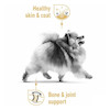 پوچ سگ پامرانین بالغ رویال کنین 85 گرم Royal Canin Pomeranian Adult