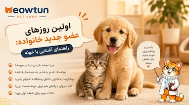 اولین روزهای عضو جدید خانواده: راهنمای آشنایی توله‌سگ یا بچه‌گربه با خانه جدید