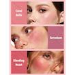 پالت رژگونه 6 رنگ شیگلم Blushing Bouquet مدل فلورال فلش
