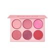 پالت رژگونه 6 رنگ شیگلم Blushing Bouquet مدل فلورال فلش