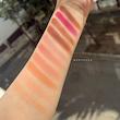 پلت سایه 10 رنگ wet n wild مدل heart & sol