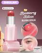رژگونه استیکی شیگلم