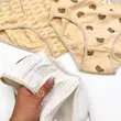 پک ۳ عددی شورت نخ پنبه‌ای طرح خرس عسلی