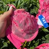 ست شورت و سوتین توری گلدوزی زنانه صورتی 