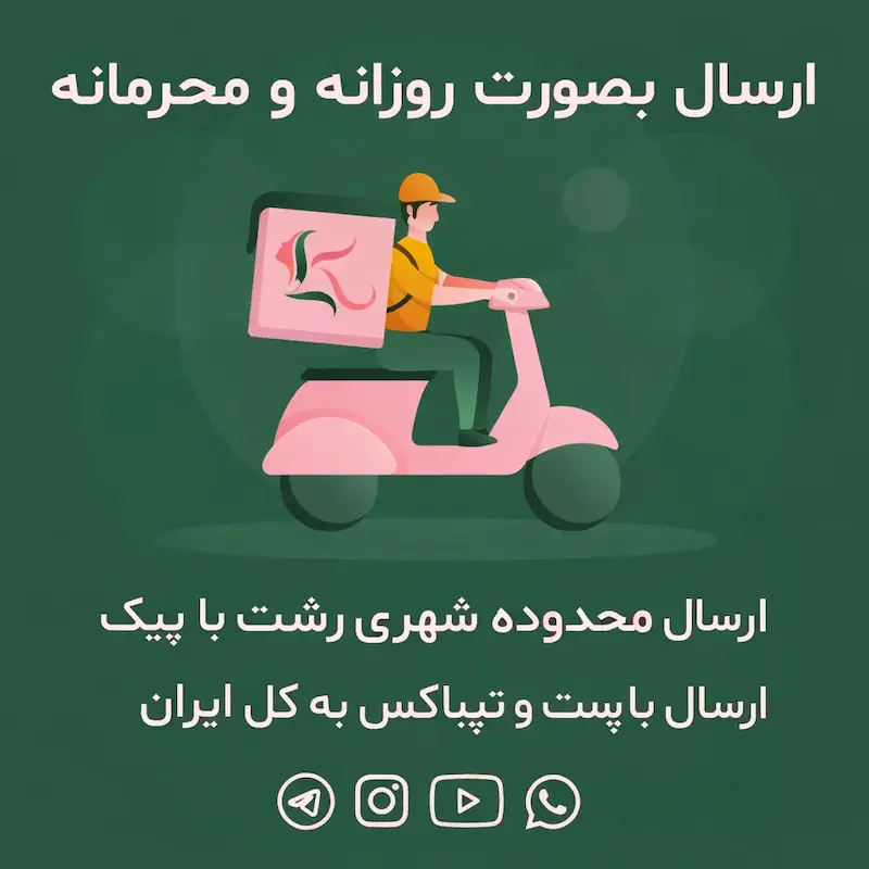 کاستوم پرستاری زنانه فاق باز و سینه باز کد 080