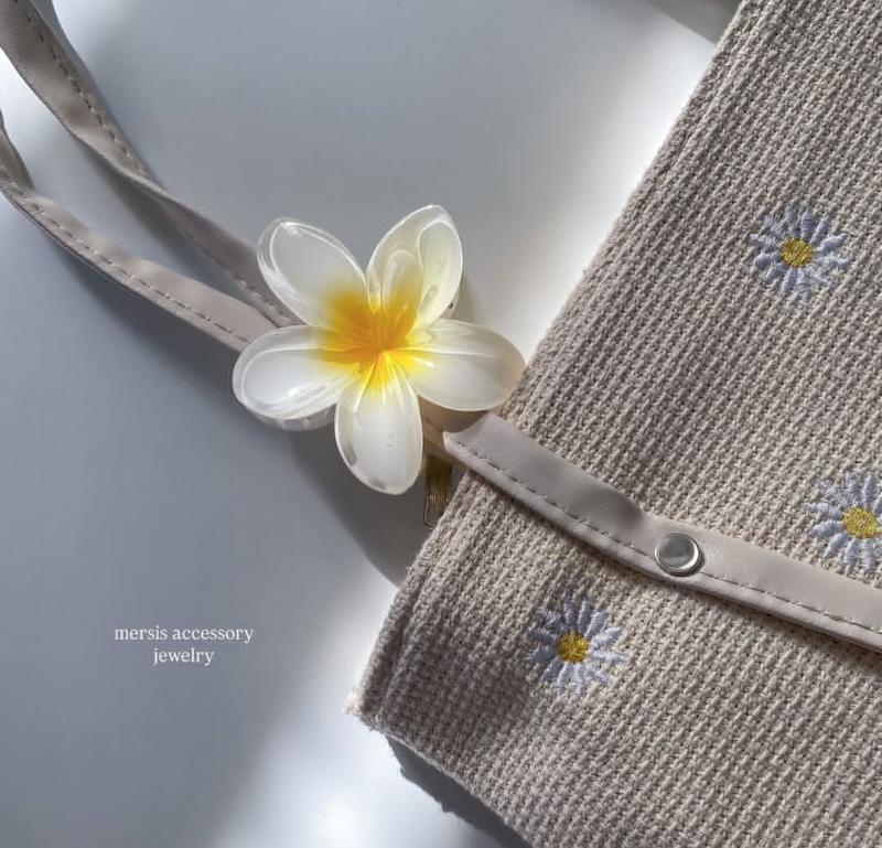 کلیپس کره ای