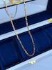 زنجیر استیل طرح دیپلمات قفل طوطی 