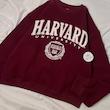 دورس زرشکی Harvard 