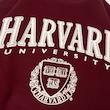 دورس زرشکی Harvard 
