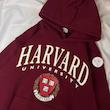هودی زرشکی Harvard 
