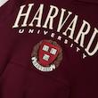 هودی زرشکی Harvard 