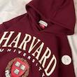 هودی زرشکی Harvard 