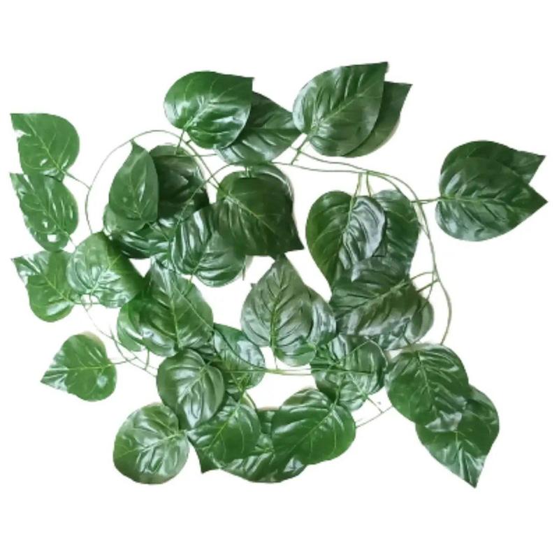 ریسه‌برگ‌‌🍀