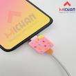 محافظ شارژر اپل  دو پین طرح icey