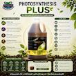 فتوسنتز پلاس & PHOTOSYNTHESIS PLUS 