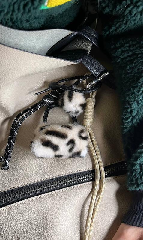 چارم بگ کیف